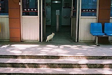 《战锤西格玛时代：毁灭之国》雷铸神军阵营介绍 7月7日公测开始