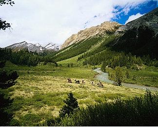 炫酷处决动画！《真人快打1》看刘康如何处决T1000