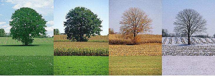 《魔兽世界》官网新版种族介绍引发批评：有种族偏见